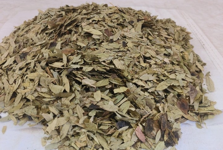 Cognitive Grade Vallarai (Gotu Kola) Leaves